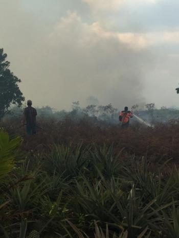 Karhutla di Rohil Terus Meluas Hingga Ke Dumai