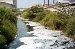 Banyak ikan mati di Sungai, BLH Rohul belum terima hasil uji limbah dari PT MAN