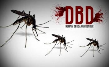 Waspada! DBD meningkat tajam, Bupati Bengkalis keluarkan 5 Instruksi