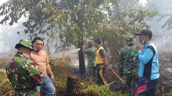 5 Hektare Lahan PT Arara Abadi  Terbakar