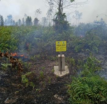 Tak Berfungsi, Rumah Nawacita Minta Audit Proyek Sumur Bor Buatan BRGM di Bengkalis