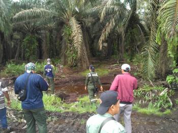 Harimau Terkam Warga di Inhil Belum Terlacak