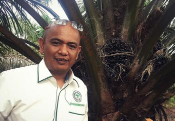 Besok, Apkasindo Riau Goes to Campus akan ungkap Mitos Kelapa Sawit