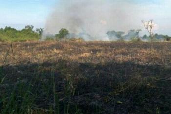 Polisi di Inhil pergoki seorang warga bakar 1,5 hektar lahan