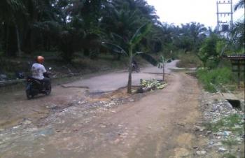 Aksi tanam pohon pisang, Parmin: Proyek Jalan di Rohil Asal-asalan