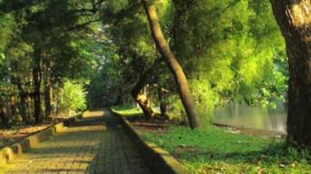 Demi ruang terbuka hijau, pemda Rohul bakal bikin Hutan Kota