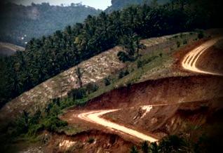 Setelah PT Hutahaean, Polda Riau naikkan status PTPN V ke penyidikan