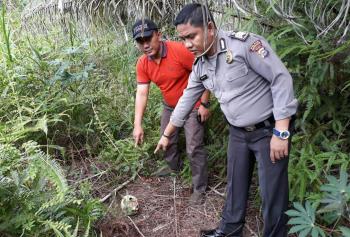 Pemburu Babi temukan tengkorak wanita di kebun Sawit