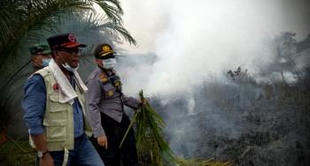 20 hektar kebun sawit di kawasan hutan Rohil terbakar, 249 personil turun, polisi incar pemilik