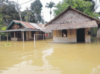 2 hari hujan, ratusan rumah warga Bengkalis terendam banjir