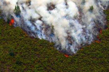 Kualitas Udara Membaik, Jarak Pandang Pekanbaru Capai 6.000 Meter