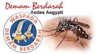 Hujan Turun di Pekanbaru, Waspada DBD Menyerang!