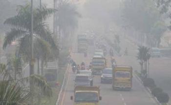 Asap Kian Pekat, Diduga Taman Nasional Bukit Tiga Puluh di Inhu Terbakar