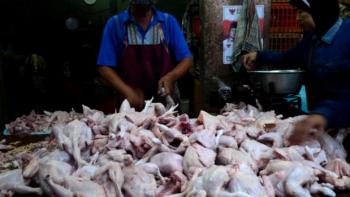 Usai lebaran, harga Ayam Potong di Pekanbaru meroket