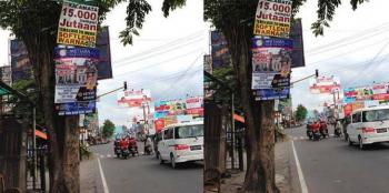 Dewan Desak Satpol Segera Tindak Pemasang Reklame Di Pohon