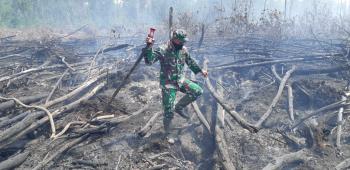 TNI Minta Jangan Lagi Ada Pembakaran Lahan