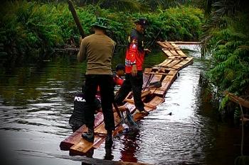 Tim gabungan tutup kanal jalur kayu ilegal logging di Bengkalis