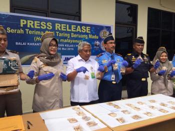 Petugas Karantina Sita 172 Taring Beruang Madu