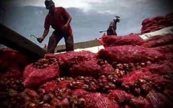 Bea Cukai Bengkalis gagalkan penyelundupan 2.200 karung bawang merah ilegal