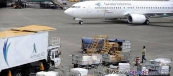 Bandara SSK II Pekanbaru Gagalkan Pengiriman Kulit Reptil