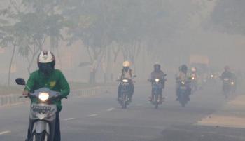 Kabut asap kian tebal, Sapma PP: Pemprov Riau memalukan, uang habis, hasilnya tak ada!