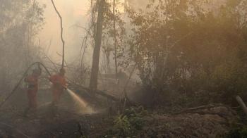 Polisi Segel Gambut Terbakar di Pelalawan