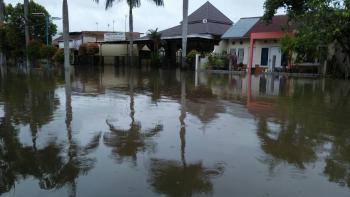 Ini Langkah Dinas Sosial Antisipasi Bencana Banjir Di Pekanbaru