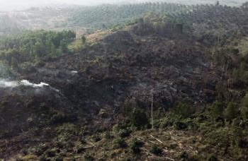 3 lokasi kebakaran lahan dipadamkan tim gabungan di Pelalawan