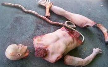 Pengadilan Tinggi Riau Vonis Bebas Terdakwa Mutilasi Siak