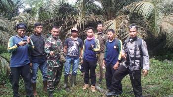 BKSDA Riau Pasang Kamera Lacak Harimau di Inhu