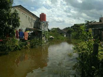 Korban Banjir Pekanbaru Mulai Terserang Penyakit