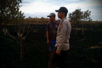 50 hektar lahan gambut yang terbakar di Meranti telah padam