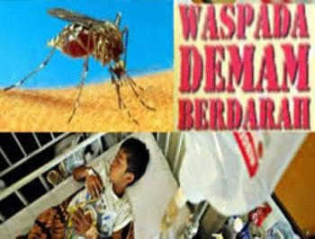 Penderita DBD naik 300 persen, 2 warga Inhu tewas