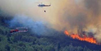 Kendalikan Titik Api, BNPB Pusat Kirim 2 Helikopter ke Riau