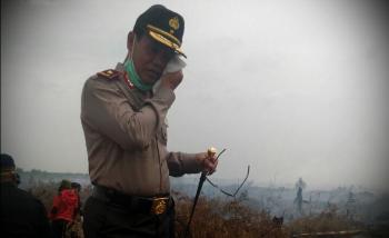 Lahan 8 perusahaan yang di SP3 kan Polda Riau ini terbakar lagi, ini datanya..