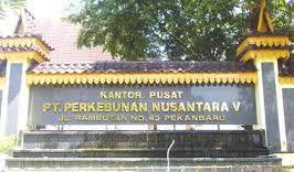 Sudah naik penyidikan, PTPN V belum juga tersangka