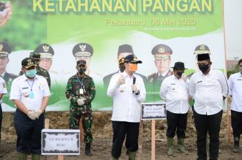 Tingkatkan Ketahanan Pangan, Gubri Ajak Masyarakat Buat Gerakan Menanam