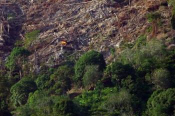 Johanes Sitorus ditanyai Jaksa soal Alih Fungsi Hutan di Tesso Nilo