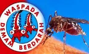 Pancaroba, 10 Warga Rohul Terserang DBD