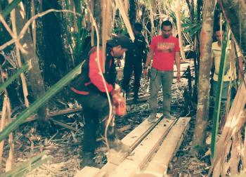 Temuan kayu olahan ilegal di hutan konservasi RAPP dimusnahkan dengan dicincang
