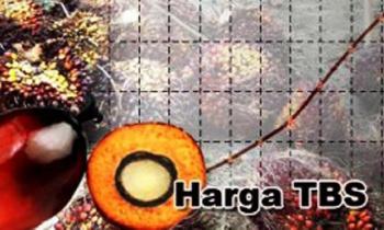 Petani Bagan Minta Pemerintah Buatkan Patokan Standar Harga TBS