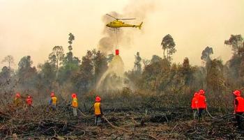 BNPB alokasikan 385 Milyar untuk penanggulangan asap