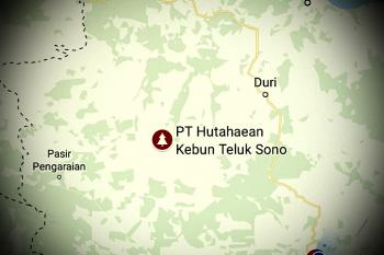 Garap lahan diluar HGU, status PT Hutahaean naik ke Penyidikan