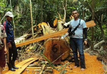 Polisi ciduk sindikat pembalak liar di Kep Meranti, Cukong SY masih diburu