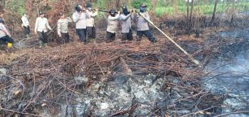 55 Hektare Lahan Riau Terbakar Sepanjang 2019