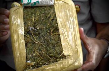 Polres Kampar gagalkan penyelundupan 21 kg ganja asal Aceh