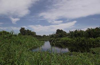 Pemkab Rohil Jadikan "Danau Janda Gatal" Objek Wisata Andalan