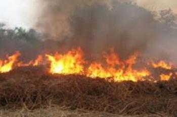 Waduh! Puluhan Hektare Lahan di Tasik Pinggir Dibiarkan Terbakar