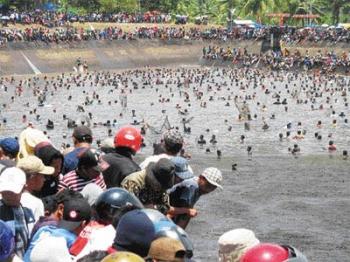 Lomba Cari Ikan di Sawah, Tradisi warga Rohul Jelang Musim Tanam