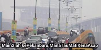 Asap tebal, harga Karet dan Sawit hancur, Inilah jeritan ke Jokowi...